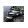Shad Westin ShadTeez 7.5cm Bling Perch 4pcs