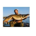 Shad Westin ShadTeez 9cm Firetiger Shad Westin ShadTeez 9cm Firetiger