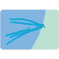 Sonar DEEPER Smart Chirp+ 3.0, FLDP47 Sonar DEEPER Smart Chirp+ 3.0, FLDP47