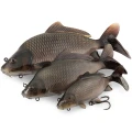 Shad FOX RAGE Ultra-Realistic Common Carp Replicant, 18cm, 136g, 1buc/plic 