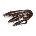 Swimbait FOX RAGE Ultra Natural Catfish Replicant, 10cm, 1buc/pac