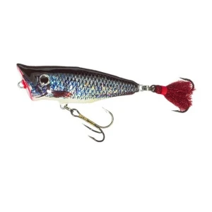 Popper Jaxon Holo Select F P 9cm 15gr