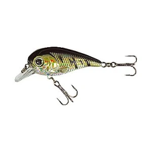 Vobler Jaxon Atract Little F Xtr-i D 6cm-10gr