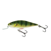 VOBLER SALMO EXECUTOR IEX5SR FLOATING RHP 5CM 5G VOBLER SALMO EXECUTOR IEX5SR FLOATING RHP 5CM 5G
