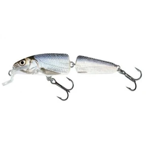 Vobler Salmo Fanatic If7f Rbl, 7cm, 5g