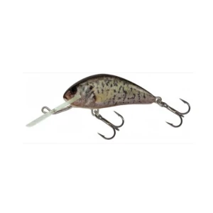 Vobler Salmo Hornet H5sdr Rcr 5cm/7g