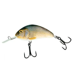 Vobler Salmo Hornet H9f Rr 9cm/12g