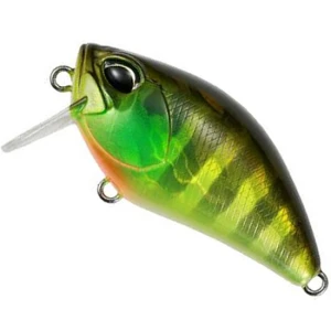 Vobler DUO Realis Crank 50SSR Kabuki, AJA3055 Chart Gill Halo, 5cm, 8.4g Vobler DUO Realis Crank 50SSR Kabuki, AJA3055 Chart Gill Halo, 5cm, 8.4g