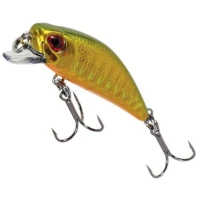 Vobler FILEX Rapid Floating, Culoare 06, 4.2cm, 2.6g, 1buc/pac Vobler FILEX Rapid Floating, Culoare 06, 4.2cm, 2.6g, 1buc/pac