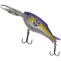 Vobler Filfishing Master Floating, Culoare 02, 10g, 5cm, 1buc/pac Vobler Filfishing Master Floating, Culoare 02, 10g, 5cm, 1buc/pac