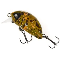 Vobler LUCKY JOHN Haira Tiny Shallow F, Culoare 504, 3.3cm, 4g, 1buc/pac Vobler LUCKY JOHN Haira Tiny Shallow F, Culoare 504, 3.3cm, 4g, 1buc/pac