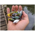 Vobler RIVER2SEA Whopper Plopper, Delta Craw, 7.5cm, 16.5g, 1buc/pac