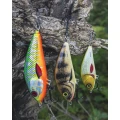 Vobler SALMO Fatso Floating, Emerald Perch, 8cm, 23gr, 1buc/pac