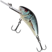 Vobler Salmo Hornet Floating, Real Dace, 6cm, 11gr, 1buc/pac