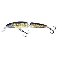 Vobler Salmo Fanatic IF7F RG 7 cm 5 gr Vobler Salmo Fanatic IF7F RG 7 cm 5 gr