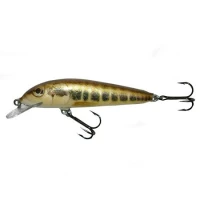 Vobler Salmo Minnow M6f M 6 Cm 4 Gr