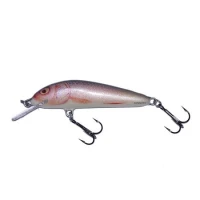 Vobler Salmo Minnow M7f Rr 7cm 6g Vobler Salmo Minnow M7f Rr 7cm 6g