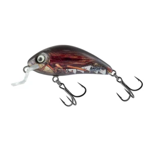 Vobler Salmo Rattlin\' Hornet Floating - Real Cockchafer, 3.5cm, 5.5g