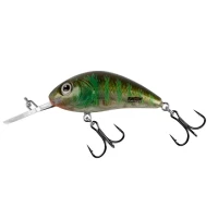 Vobler Salmo Rattlin' Hornet Floating Green Gill Clear 3.5cm, 3.1g