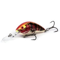 Vobler Salmo Rattlin Hornet Floating Holo Red Perch 4.5cm 6g Vobler Salmo Rattlin Hornet Floating Holo Red Perch 4.5cm 6g