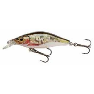 Vobler Cormoran Shallow B.sh.rl.dying Roach 4cm/2,5g