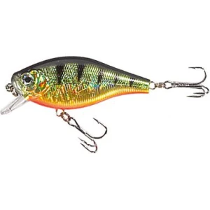 Vobler Jaxon Atract Fs Xtr-d D 5cm-5gr