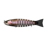 Vobler Biwaa Strout 16cm/52g, Culoare Rainbow