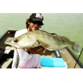 Vobler DUO Ryuki 45S 4.5cm 4g MCC4036 Metal Rainbow Trout S Vobler DUO Ryuki 45S 4.5cm 4g MCC4036 Metal Rainbow Trout S