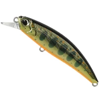 Vobler DUO Spearhead Ryuki 60S, MCC4084 Gold Yamame, 6cm, 6.5g Vobler DUO Spearhead Ryuki 60S, MCC4084 Gold Yamame, 6cm, 6.5g