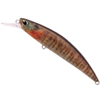 Vobler DUO Spearhead Ryuki 80S, CCC3357 True Gill, 8cm, 12g Vobler DUO Spearhead Ryuki 80S, CCC3357 True Gill, 8cm, 12g