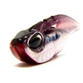 Vobler DUO Tide Vib Score, IH Red Mullet CHH0937 , 7.8cm, 28g, 1buc/pac 