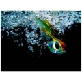 Vobler DUO Tide Vib Score, Tropical Sardine CHH0287, 7.8cm, 28g, 1buc/pac