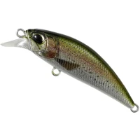 Vobler Duo Spearhead Ryuki 45S, CCC3836 Rainbow Trout ND, 4.5cm, 4g Vobler Duo Spearhead Ryuki 45S, CCC3836 Rainbow Trout ND, 4.5cm, 4g