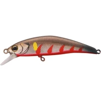Vobler Jackall Tricoroll Ryushin Guyo Ayu Rekka 5.3cm 4.6g Vobler Jackall Tricoroll Ryushin Guyo Ayu Rekka 5.3cm 4.6g