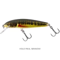Vobler SALMO Minnow, Holo Real Minnow, 5cm, 5.3g,1buc/pac
