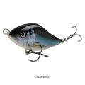 Vobler SALMO Slider Sinking, Holo Smelt, 12cm, 77gr, 1buc/pac