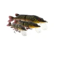 Vobler Westin Mike the Pike 20cm 70g Metal Pike SS