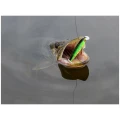 Vobler Pontoon21 Bet a Shiner 6.8cm 7.1g R60 SP SR