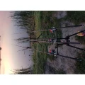 Bete Daiwa Widow 13ft 3.5lb 