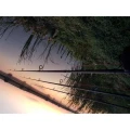 Bete Daiwa Widow 13ft 3.5lb 