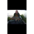 Se Vinde K-karp Nursy