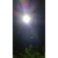 Proiector Led 12v / 20w