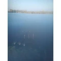 Magura 2 Buturugeni