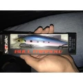 Voblere Sebile Bull Minnow 152 Mm!
