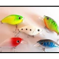 Set 5 Voblere Crank Tiny.