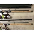 Set Lansete Feeder