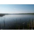 Lacul Boteni 1 Simetrie Pescuit Sportiv Si De Agrement
