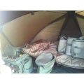 Cort Fox Royale 60” Brolly Sustem Mk2