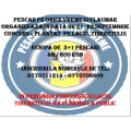 Elisabetalaura2@gmail.com
