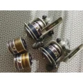 Mulineta Daiwa Procaster Evo 4010